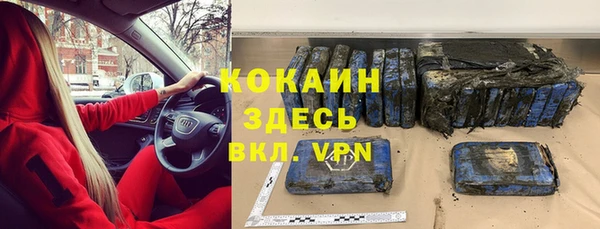 сатива Вязники